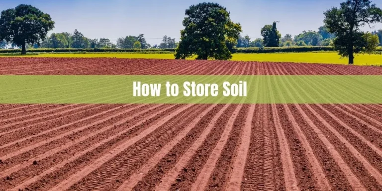 How to Store Soil: Tips and Methods for Maintaining Soil Quality