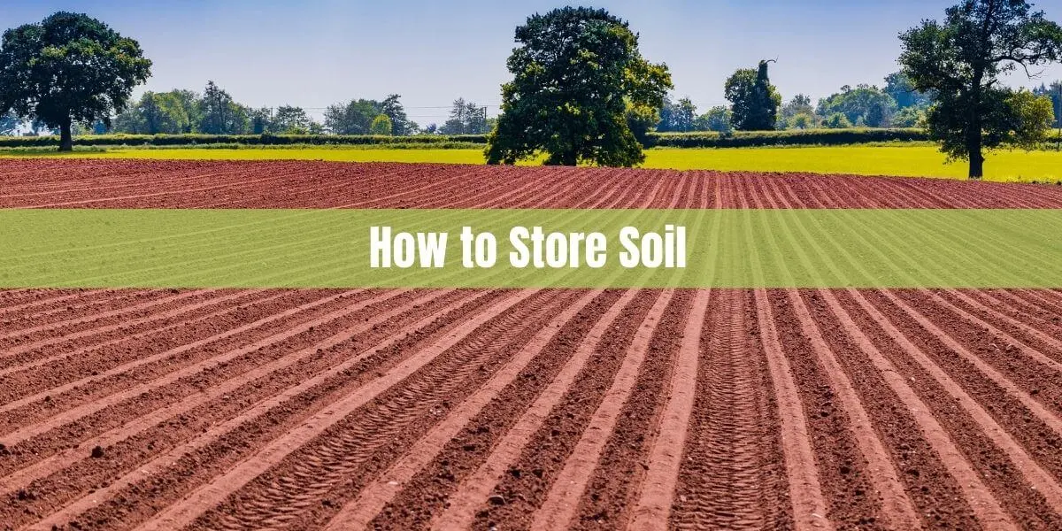 How to Store Soil