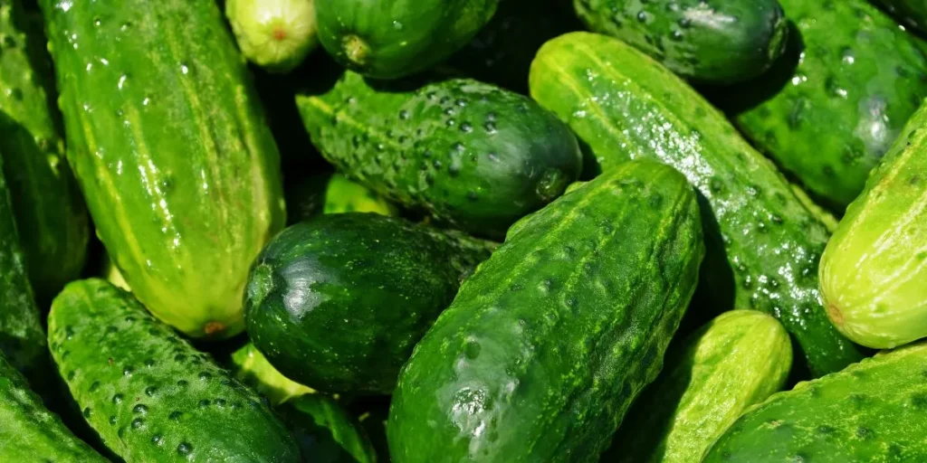 Summer Vegetables in Pakistan