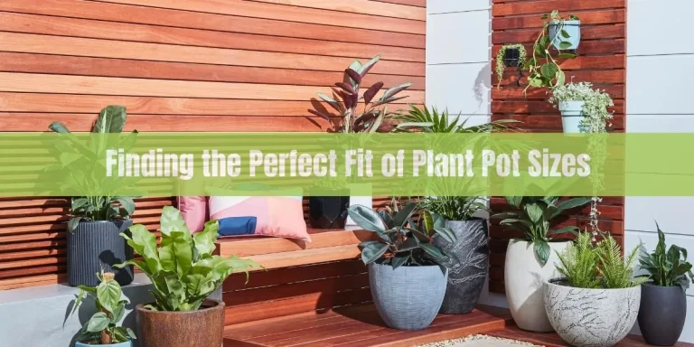 Finding the Perfect Fit of Plant Pot Sizes